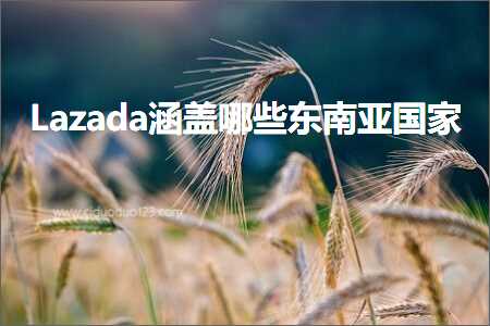 璺ㄥ鐢靛晢鐭ヨ瘑:Lazada娑电洊鍝簺涓滃崡浜氬浗瀹? width=