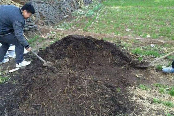 鍐滄潙鎬庝箞璧氶挶鐧芥墜璧峰?鍋氫粈涔堝彲浠ュ彂瀹? width=