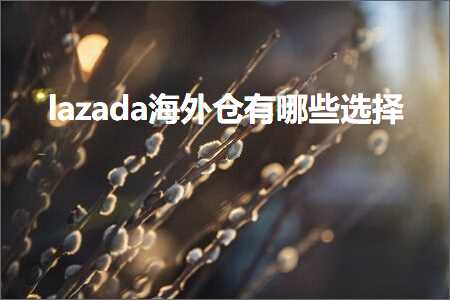 跨境电商知识:lazada海外仓有哪些选择