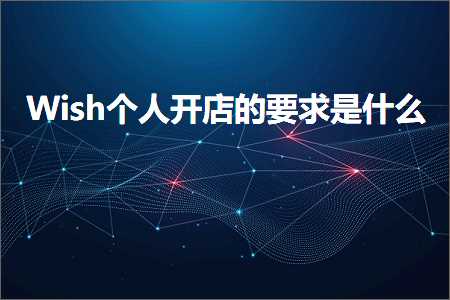 璺ㄥ鐢靛晢鐭ヨ瘑:Wish涓汉寮€搴楃殑瑕佹眰鏄粈涔? width=