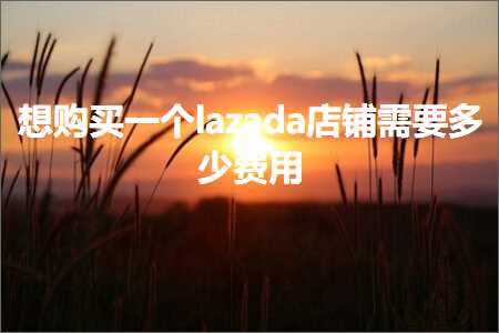 璺ㄥ鐢靛晢鐭ヨ瘑:鎯宠喘涔颁竴涓猯azada搴楅摵闇€瑕佸灏戣垂鐢? width=