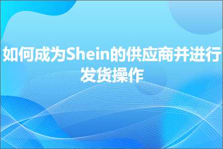 璺ㄥ鐢靛晢鐭ヨ瘑:濡備綍鎴愪负Shein鐨勪緵搴斿晢骞惰繘琛屽彂璐ф搷浣? width=