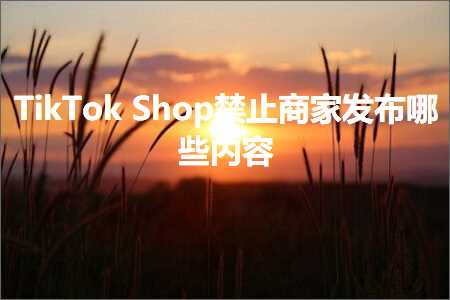 跨境电商知识:TikTokShop禁止商家发布哪些内容