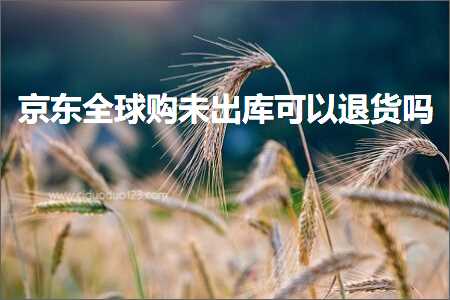 跨境电商知识:京东全球购未出库可以退货吗