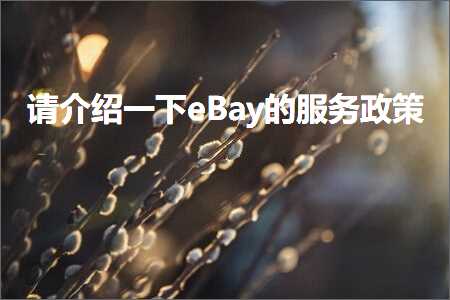 跨境电商知识:请介绍一下eBay的服务政策